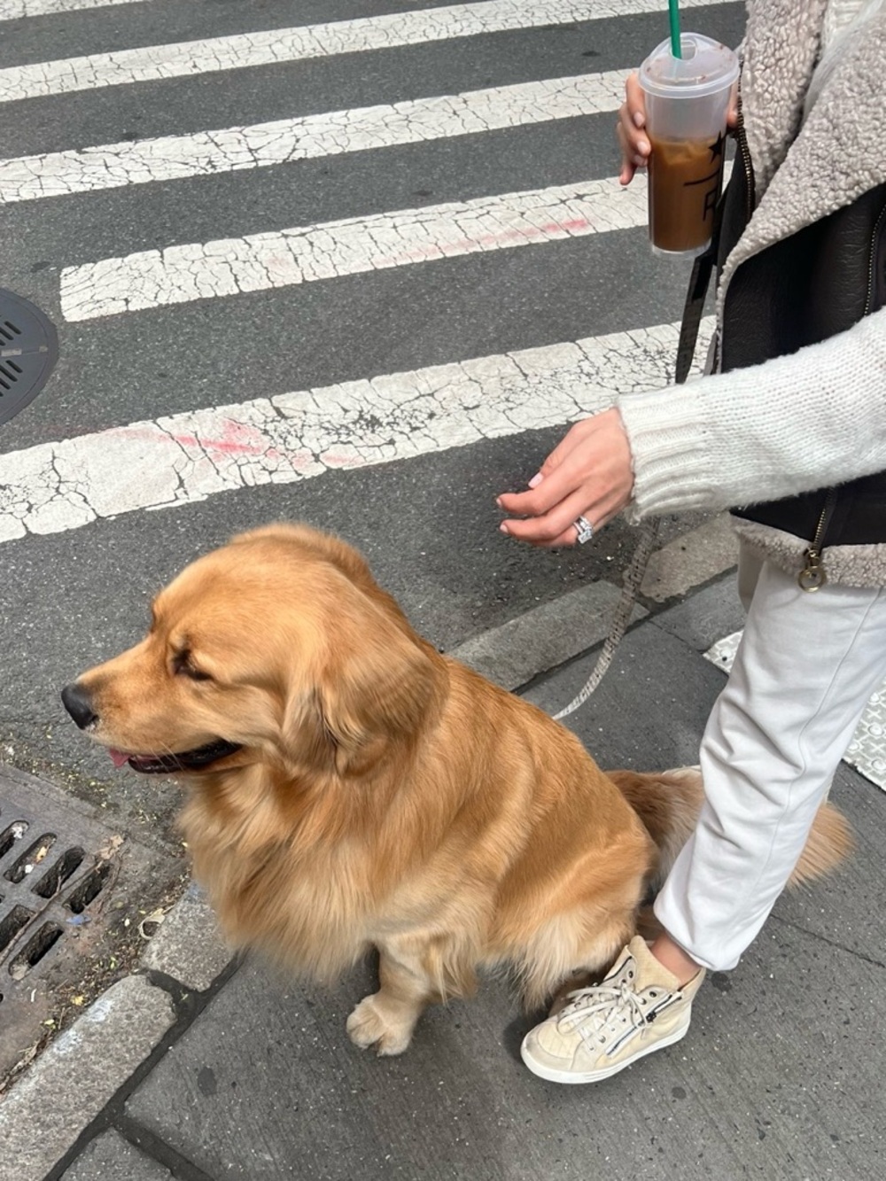 Chanel Fabric and Suede CC Side Zip High Top Sneakers🤩 - Picture 8 of 8